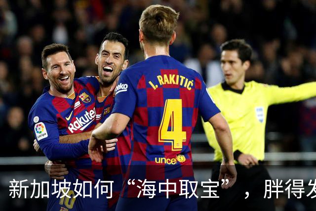 新加坡如何“海中取宝”，胖得发光发亮！