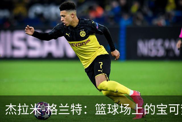 杰拉米-格兰特：篮球场上的宝可梦训练大师