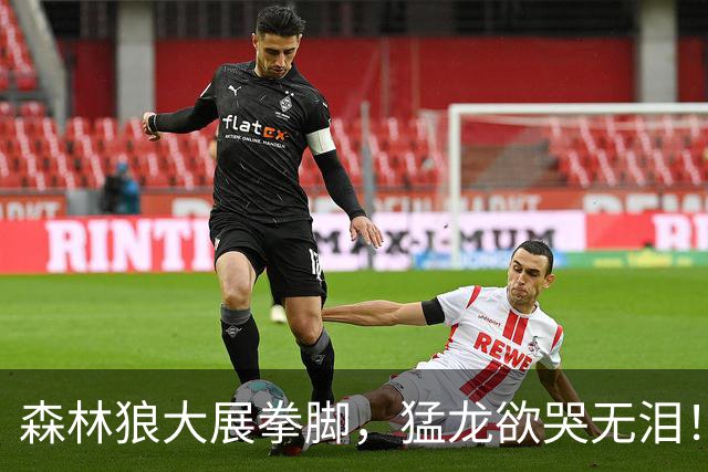 森林狼大展拳脚，猛龙欲哭无泪！